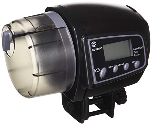 7 Best Automatic Fish Feeders In 2020 Reviewed