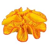 DOITOOL Adorno de Coral Artificial de Resina Decoración Resistente para Acuario de Agua Dulce y Paisaje Único para Tanque de Peces sin Decoloración ni Deformación Accesorio Seguro y para