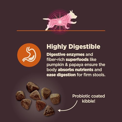 Wellness CORE Digestive Health Small Breed Adult Dry Dog Food, Wholesome Grain Kibble, Sensitive Stomach, Natural, High Protein, Chicken Recipe, 4 lb Bag - image 4