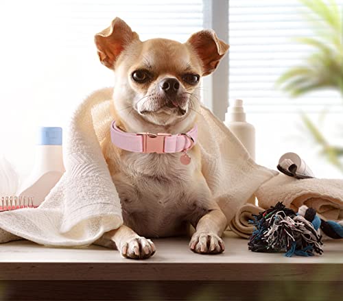 DOGWONG Hundehalsbänder rosa, Hundehalsbänder und Leine aus rosa hundehalsband, Bequeme verstellbares Hundehalsband für kleine mittelgroße Hunde