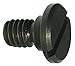 Lock Screw