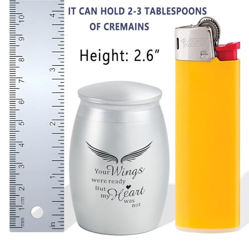 Image of Silver Small Keepsake Cremation Urn for Human Ashes or Pet Ashes | Small Memorial Token Urn with Velvet Bag - A Perfect Tribute & Gift for Families (Aluminum)