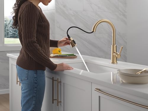 Touchless Kitchen Sink Faucet