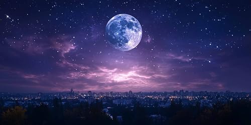 _ChA[g  _ChA[g |Lbg㋉ҊG s 傫TCY 80x40 CM | 5D DIY Diamond Art G CeA Ǐ NX^Sʓ\t^Cv NXXeb`hJ Lbg Ɨp v[g ZS