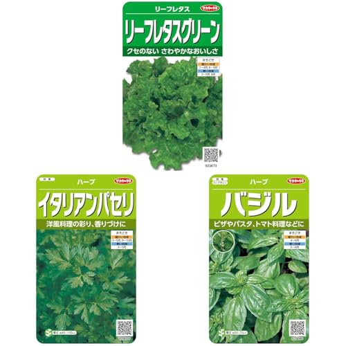 【セット買い】サカタのタネ 実咲野菜3673 リーフレタスグリーン 00923673 + 実咲ハーブ8070 イタリアンパセリ 00928070 + 実咲ハーブ8080 バジル 00928080 緑