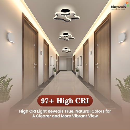 Image of Binyamin Ceiling Light Surface Mount for Entrance Lobby, 50W Surface Ceiling LED Light, LED Light for Living Room Ceiling, 3 Colour Black Flush, Anti-Glare LED Lights for Room (Star) (Pack of 2)