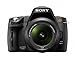 Produktbild Sony A290L camera with 18-55mm lens