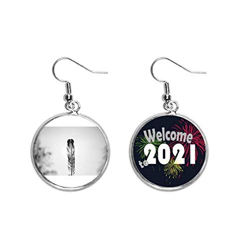 Pendientes de pluma joyería 2021 bendición accesorio de organismo terrestre M