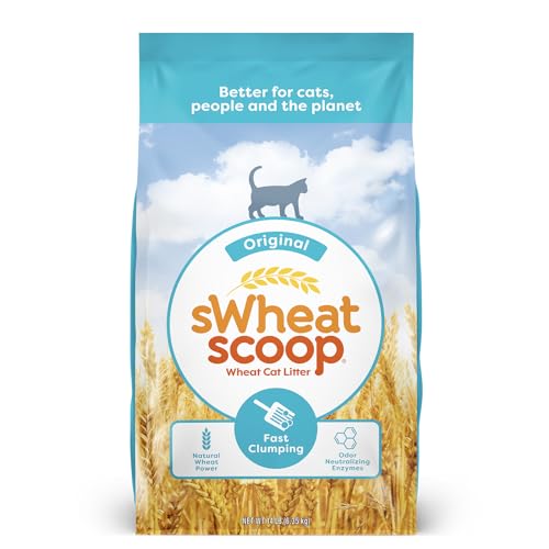 Non Toxic Cat Litter For Weakened Immune Systems Reference: Safest Cat Litters For Humans Cats Lead Silica Free