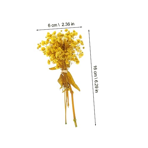 Racimos de flor de paniculata seca OUNONA para decoración natural miniatura 2