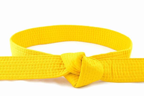 RANAC Karate Belt, Taekwondo Judo Solid Rank Karate Martial Arts Belts, Professional Belts Taekwondo Tapes (Yellow)-image-46