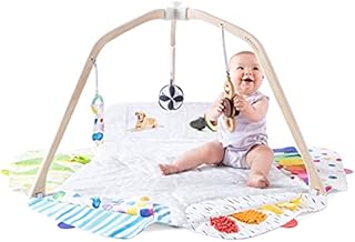 The Play Gym by Lovevery | Stage-Based Developmental Activity Gym & Play Mat for Baby to Toddler