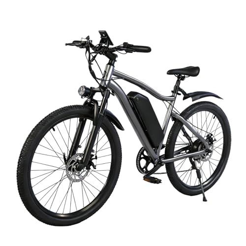 LIGHTPIX Electric Bike for Adults, Peak 750W Brushless Motor, Top