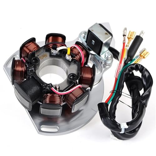 Stator Gas Gas EC125 EC300 bobine moto ME250034005 2003
