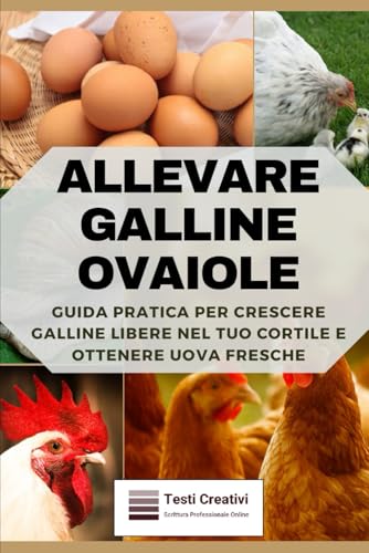 Allevare Galline Ovaiole: Guida Pratica per Crescere Galline Libere nel Tuo Cortile e Ottenere Uova Fresche
