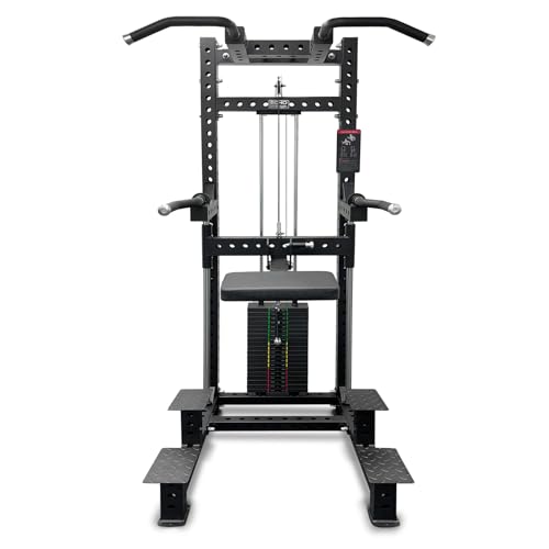 Commercial Dip & Chin Assist Machine