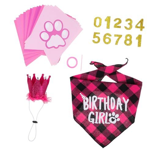 Set de disfraces de cumpleaños para mascotas POPETPOP