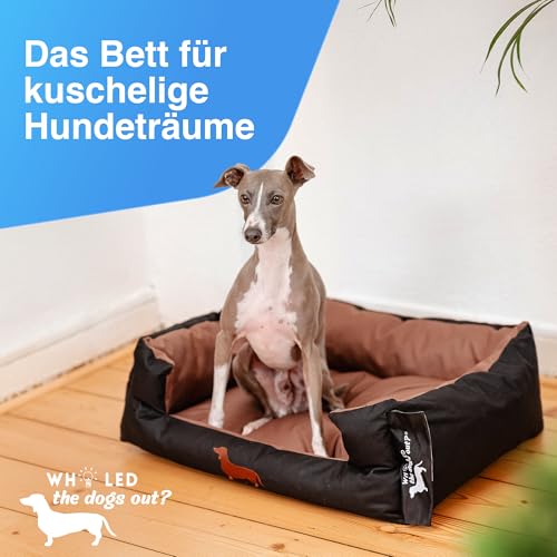 Who LED the dogs out?® Hundebett