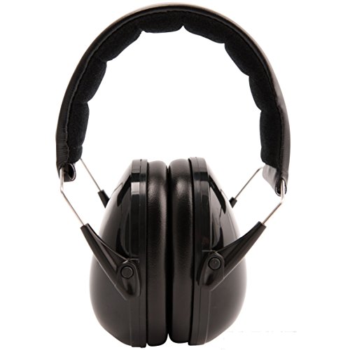 Alpine Hearing Protection (ea) Musicians' Earmuffs (one size fits all)