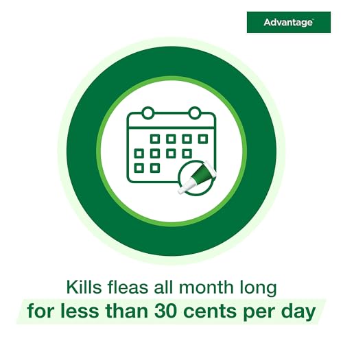 Advantage Topical Cat Flea Treatment and Prevention for Large Cats Over 9 lbs. | Apply Flea Drops Monthly | 2 Treatments - Image 8