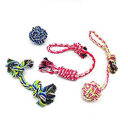 ybgVRŃ[v̂--tFb`Đ-j-̎-q-8pbN