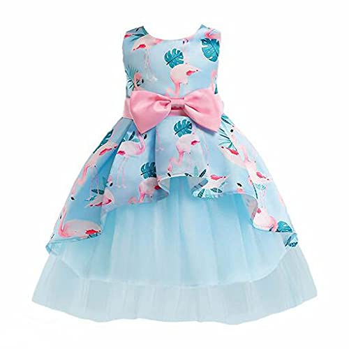 CRAQLIN Girls Japan Satin Mono net Fit and Flare midi/Knee Length Readymade Frock