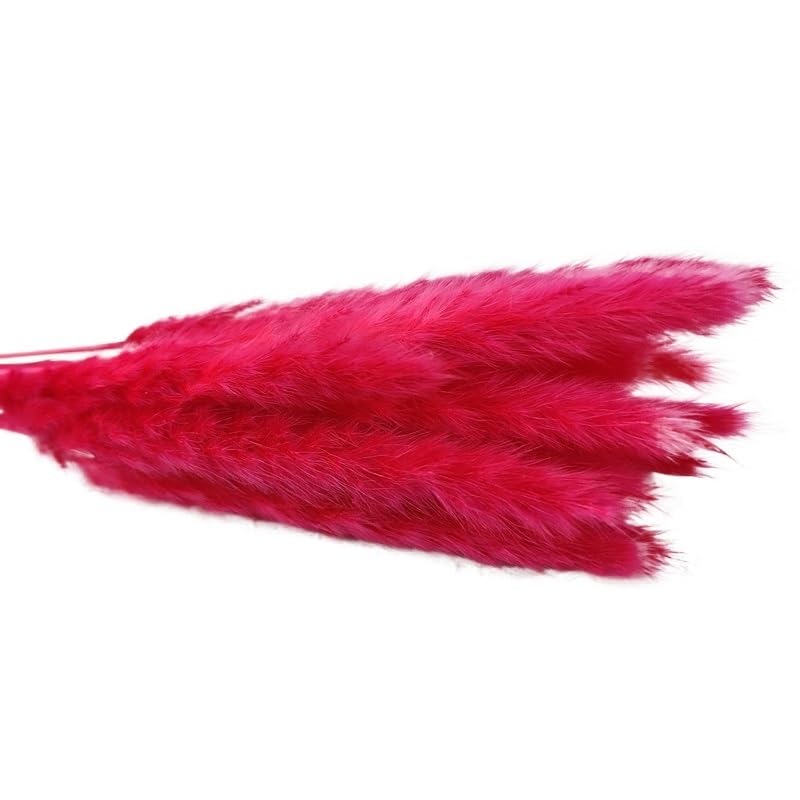 Pampas Grass Large 30Pcs Dried Small Pampas Grass miniatura 1
