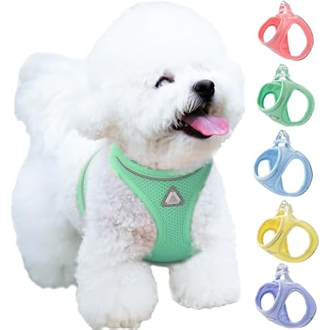 JC HOUSE Small Dog Harness, Step in Air Mesh Vest Harness with Upgrade Velcro, 3M Reflective Strip, Lightweight Aluminum Metal Attachment, Mint Green, XS Cover
