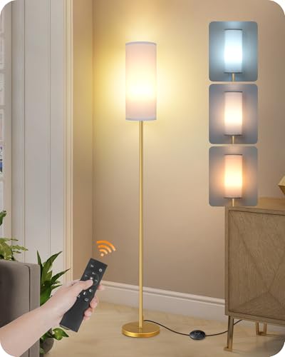 Dimmable Floor Lamp with Remote & Foot Switch