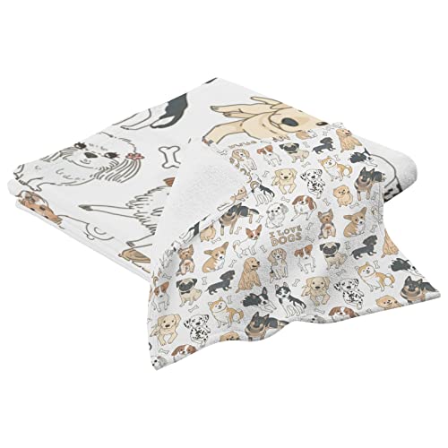 oX^I ^InJ` 2_Zbg lC 100%  唻 nh^I  ʂ hbO  Aj} z RۖhL ӂӂ 