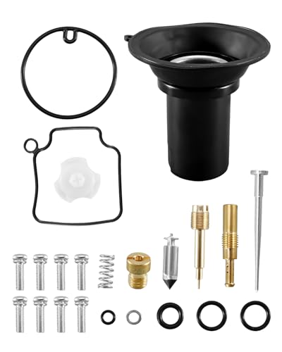 Carburetor Repair Rebuild Kit Fit for Honda VTX1300C 2004-2007 VTX1300S