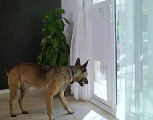 High Tech Pet Power Pet Medium Electronic Pet Door Px-1 #TOP5