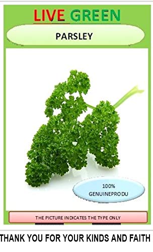See full amazon price history chart for LIVE GREEN Parsley Organic Herb F1 Hybrid Seeds (LG-SSED110) LIVE GREEN Parsley Organic Herb F1 Hybrid Seeds (LG-SSED110) (B07DRNH694) Amazon Price History, Amazon Price Tracker