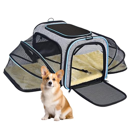Sac de voyage pour chien idéal en train et voiture avec extensions souples