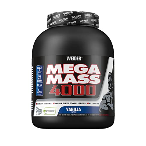 weider mega mass 4000 - TEST und Erfahrungen