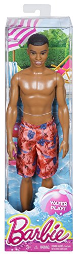Muñeco Barbie Beach Steven miniatura 4