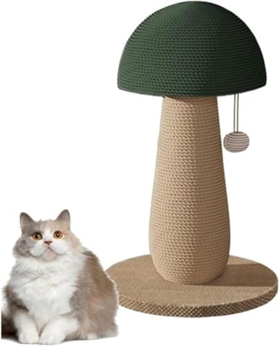 WNRJ LmR^L܌|[ c^u SʓVRTCUR ȃXy[XX~j݌v ||t ^sEKK܌ɍœK gȒP Lbg^[