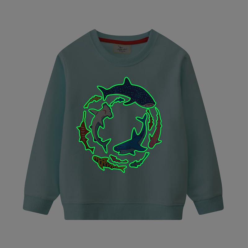 Toddler Boys Cute Luminous Shark Print Sweater Round Neck Long Sleeve Autumn Pullover Top3