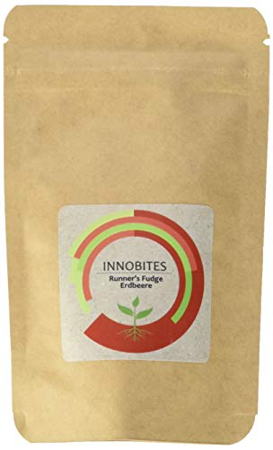 Preisvergleich Produktbild Innosnack INNOBITES Runner's Fudge Erdbeere, 35 g