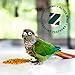 ZuPreem FruitBlend Bird Pellets, Daily Bird Food for Cockatiel, Lovebird, Quaker, Small Conure, Lorikeet, Core Nutrition for Medium Birds, Cockatiel Pellets, Conure Food (M, 2 lbs)