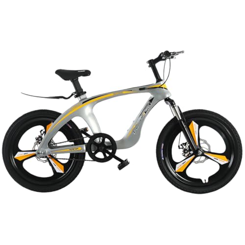 BackoluXs[h}EeoCN 20 C` 22 C`̃}OlVEfBC[AfBXN u[LzC[Aω׏d 100 kgA95% gݗčς݁Aj̎qA̎qAwAwɓKĂ܂ (Vo[CG[AVOXs[