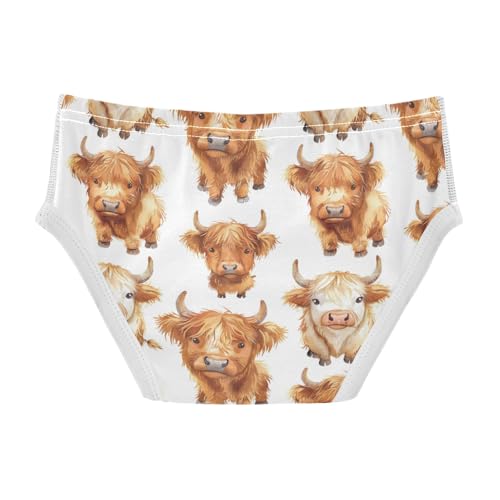 Boys' Exclusive Briefs Toddler Underwear 95% Combed Cotton Boxerbriefs 2T Highland Cow Pattern 172
