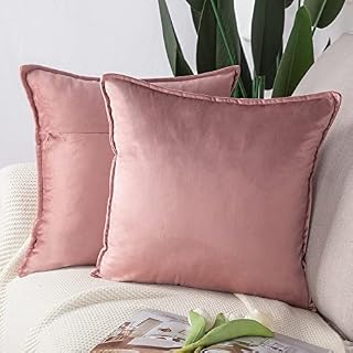 Madizz Pack of 2 Super Soft Velvet Decorative Cushion Covers with Fringe Luxury Style Cushion Case Pillow Shell for Sofa Bedroom Square Pink 16x16 inch