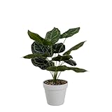 LOLAhome Planta Artificial Anturio Cristalino con Maceta Blanca de plástico