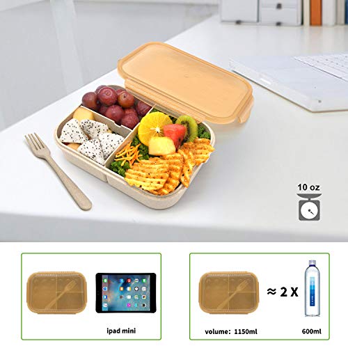 Jeopace Bento Box For Adults Lunch Containers For Kids 3 Compartment Lunch Box Food Containers Leak Proof Microwave Safe(Flatware Included, Champagne) #TOP4
