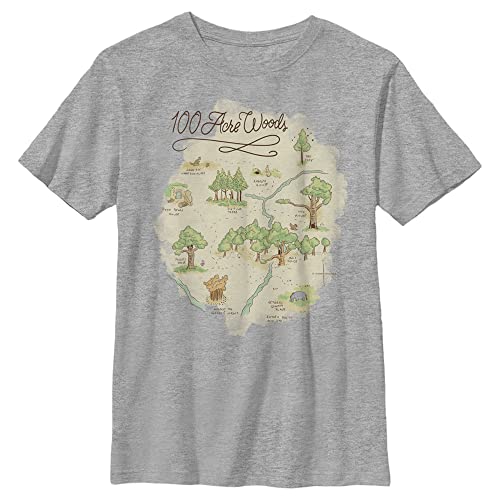 Disney Winnie The Pooh 100 Acre Map Boy's Heather Crew Tee