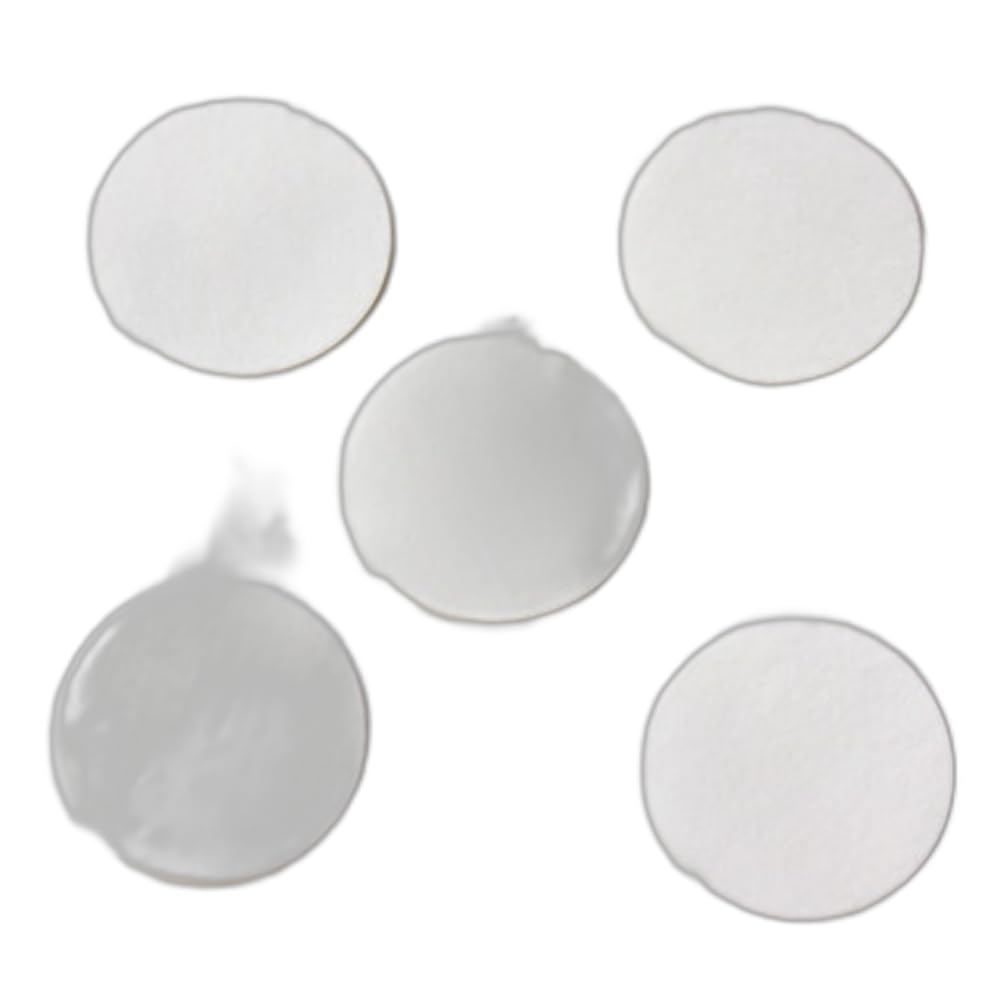 BW Particulate Pump Filter Replacement (Pack of 5) GA-PFMAX