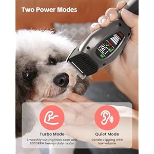 Dog care smart dog clippers cordless dog grooming clipper kit with heatproof blades led display 3 speeds auxiliary light rechargeable heavy duty professional pet hair trimmer shaver for dog cat   cucciolini doodles