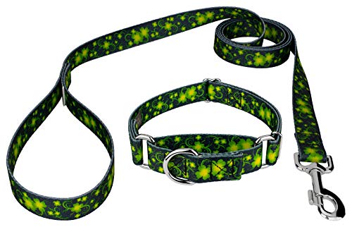 Country Brook Petz - Clovers in The Wind Martingale Dog Collar and Leash - Irish Pride Collection Featuring Lucky Designs (1 Inch, Medium)
