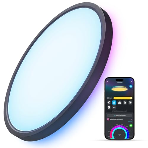 Govee Smart Ceiling Light RGBIC 2400LM 2700K-6500K 12 Inch 1 Pack Black
